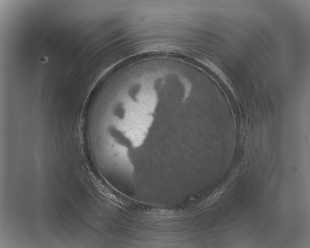 X0000069810783200606021504