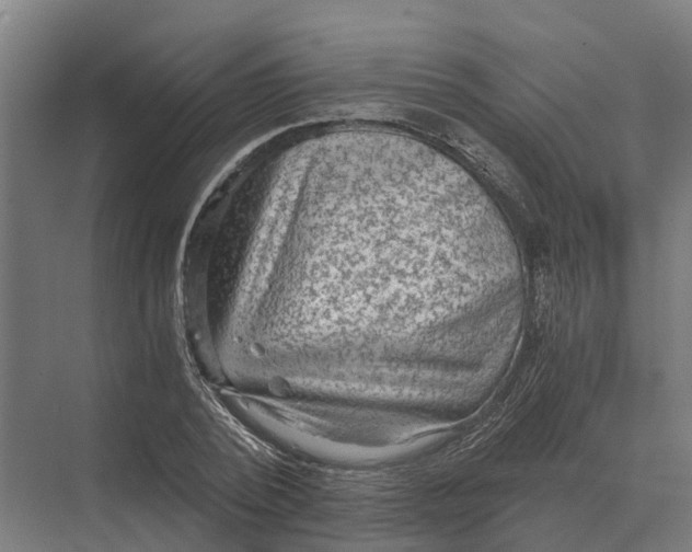 X0000069810784200606021504