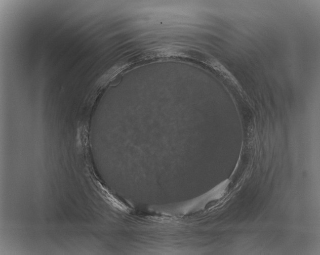 X0000069810785200606021504