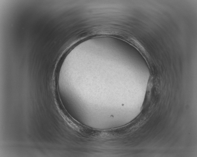 X0000069810787200606021504