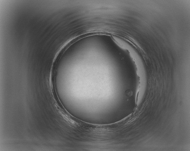 X0000069810788200606021504