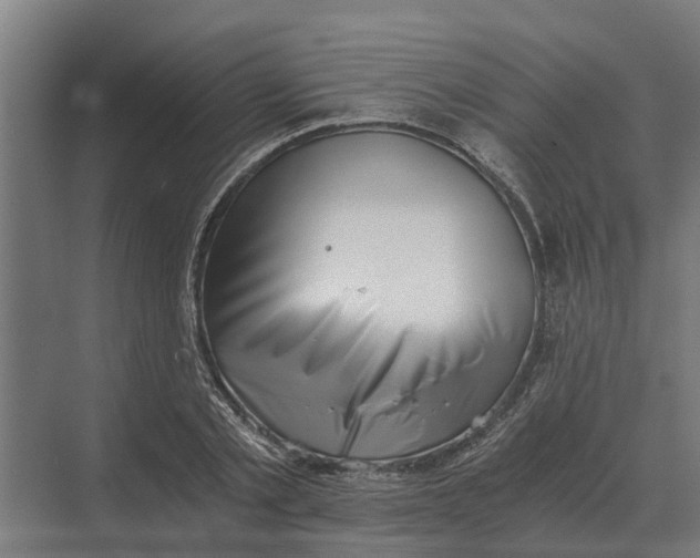 X0000069810789200606021504