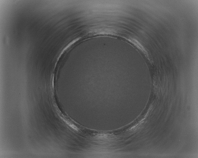 X0000069810790200606021504