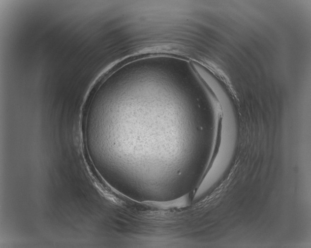 X0000069810792200606021504