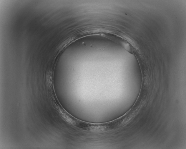 X0000069810793200606021504