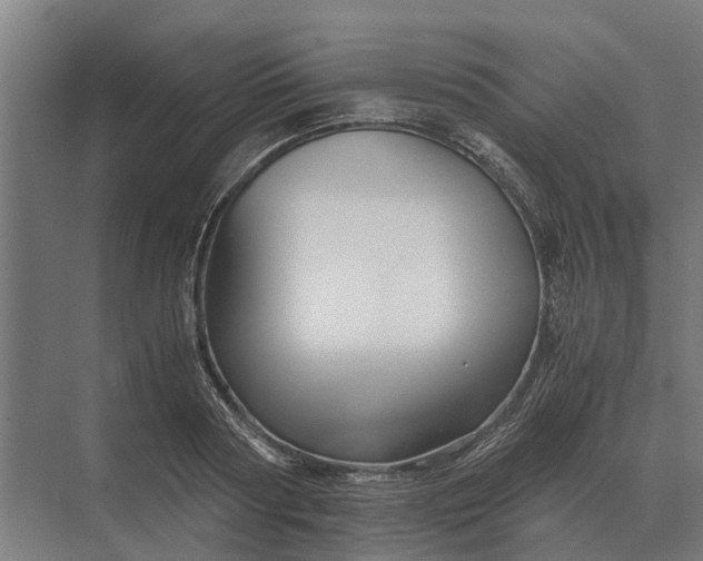 X0000069810794200606021504