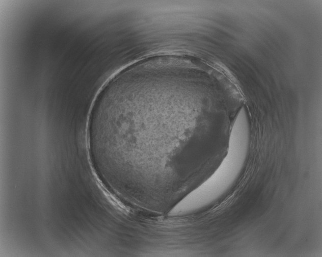 X0000069810795200606021504