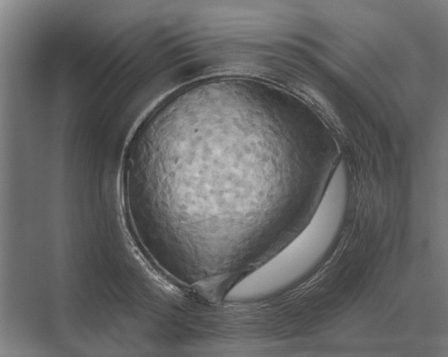 X0000069810796200606021504