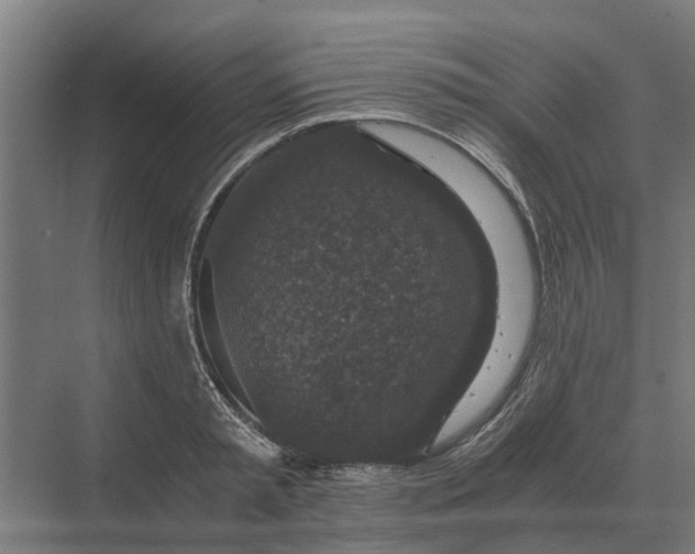 X0000069810797200606021504