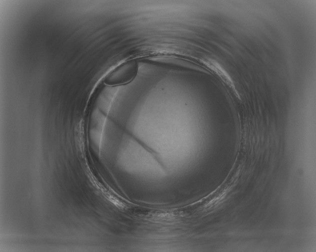 X0000069810798200606021504