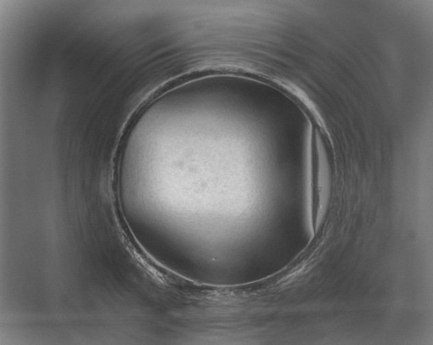 X0000069810799200606021504