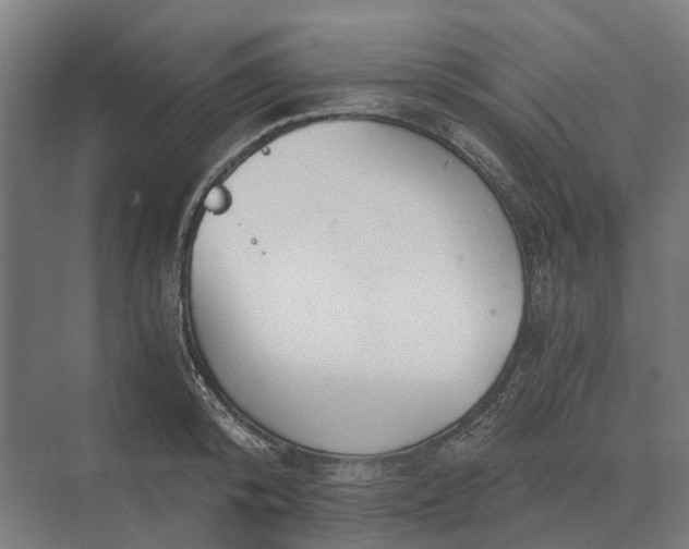 X0000069810800200606021504