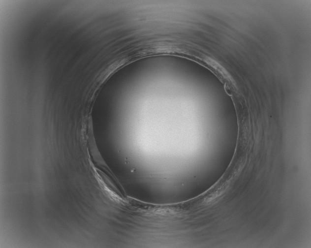 X0000069810801200606021504