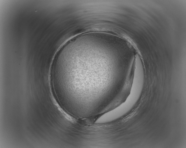 X0000069810803200606021504