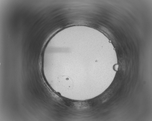 X0000069810804200606021504