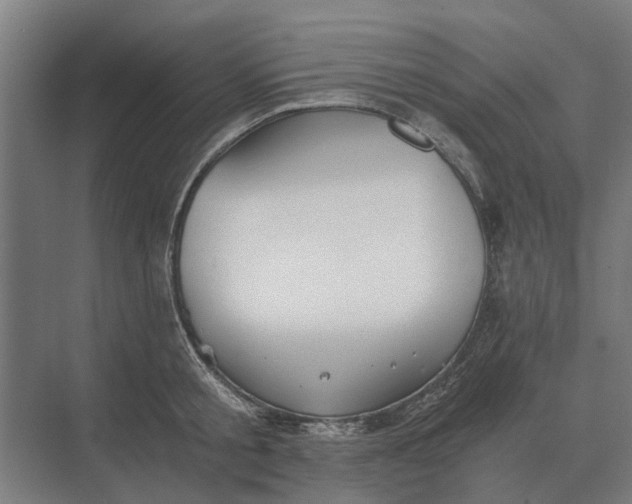 X0000069810805200606021504