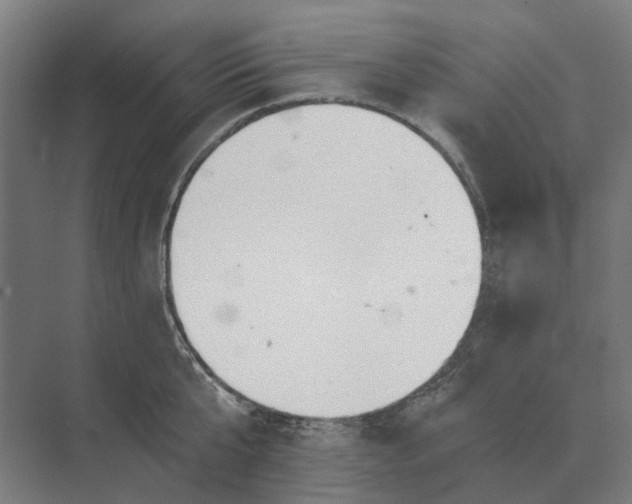 X0000069810807200606021503