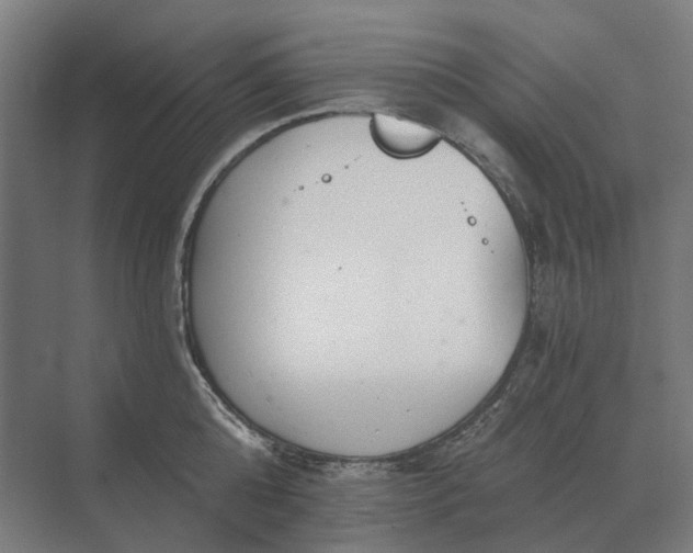 X0000069810808200606021503