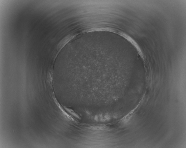 X0000069810809200606021503