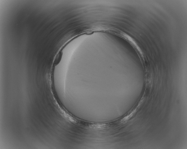 X0000069810810200606021503