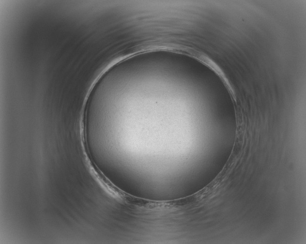 X0000069810811200606021503