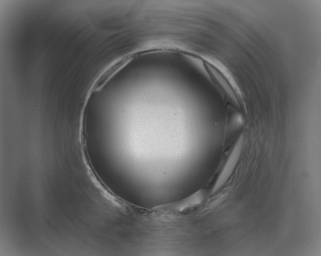 X0000069810815200606021503