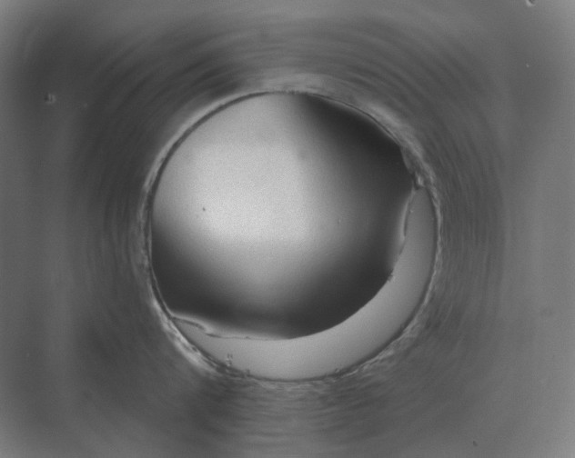 X0000069810816200606021503