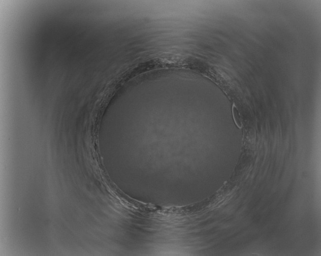 X0000069810817200606021503