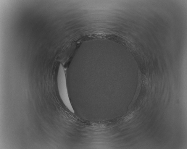 X0000069810818200606021503