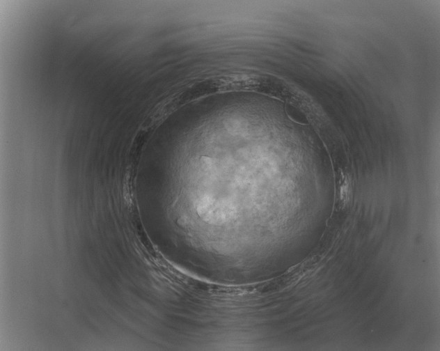 X0000069810819200606021503