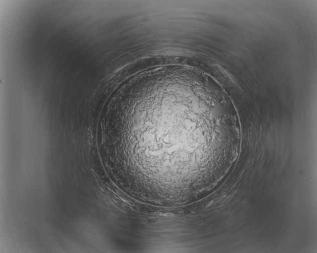 X0000069810821200606021503