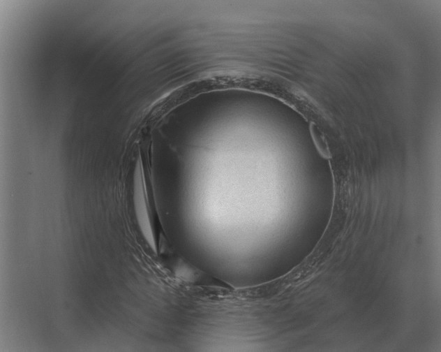 X0000069810822200606021503