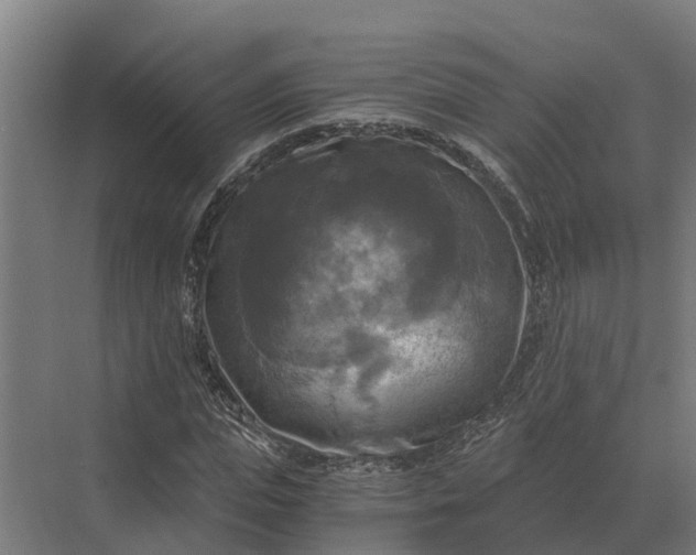 X0000069810823200606021503