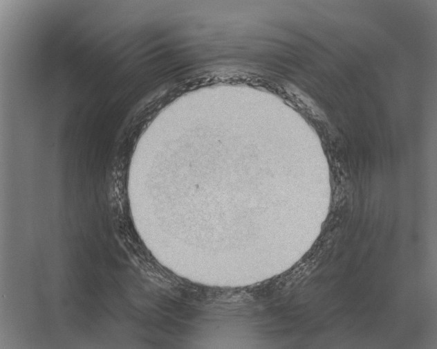 X0000069810824200606021503