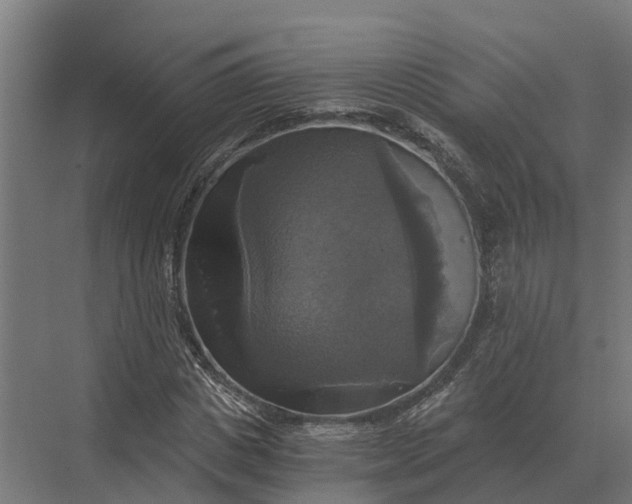 X0000069810825200606021503