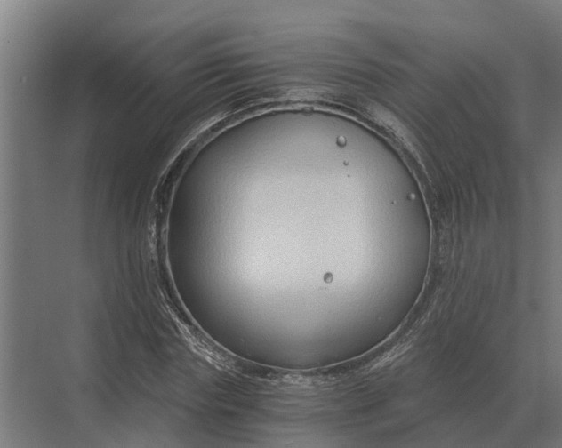 X0000069810827200606021503