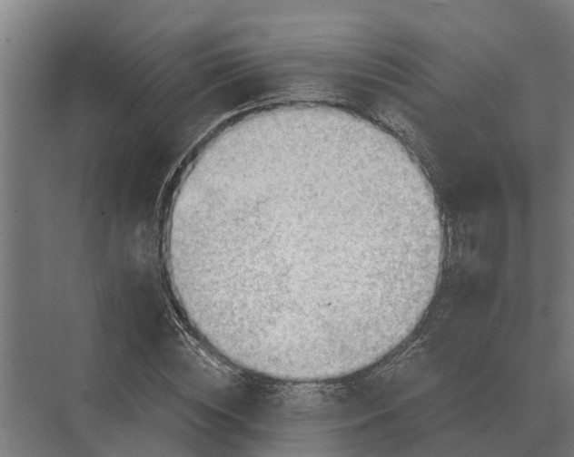 X0000069810828200606021503