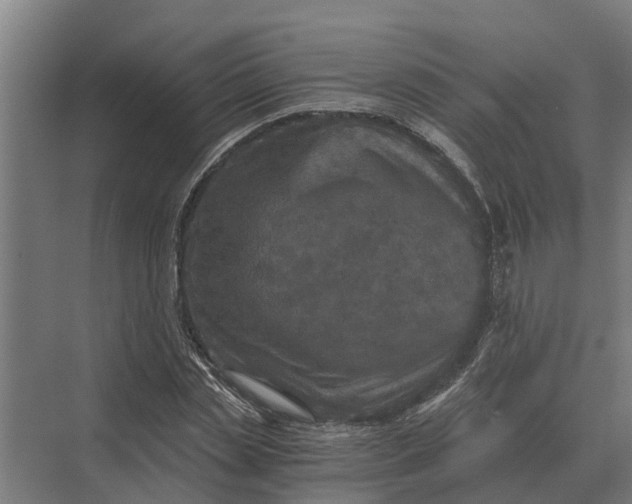 X0000069810829200606021503