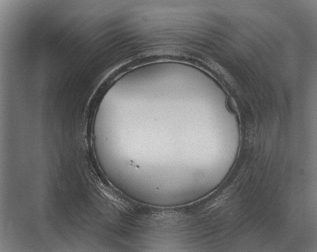 X0000069810830200606021503