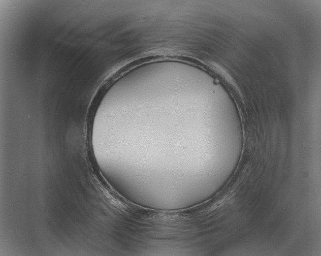 X0000069810831200606021503