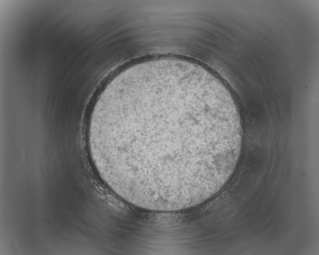 X0000069810832200606021503