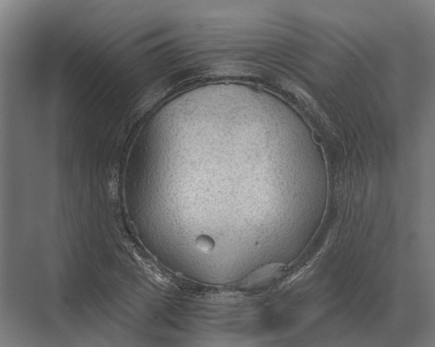 X0000069810833200606021503