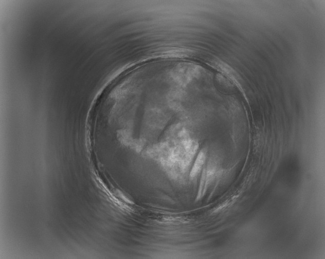 X0000069810835200606021503