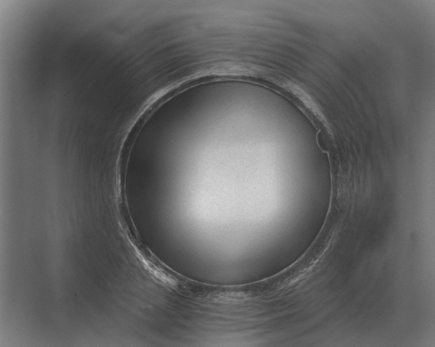 X0000069810837200606021503