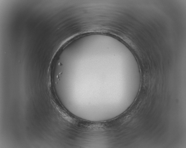 X0000069810838200606021503