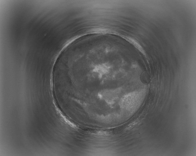 X0000069810839200606021503