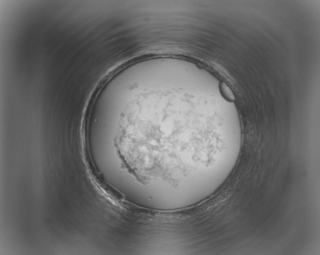 X0000069810840200606021503