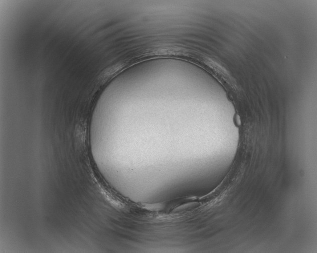 X0000069810841200606021503