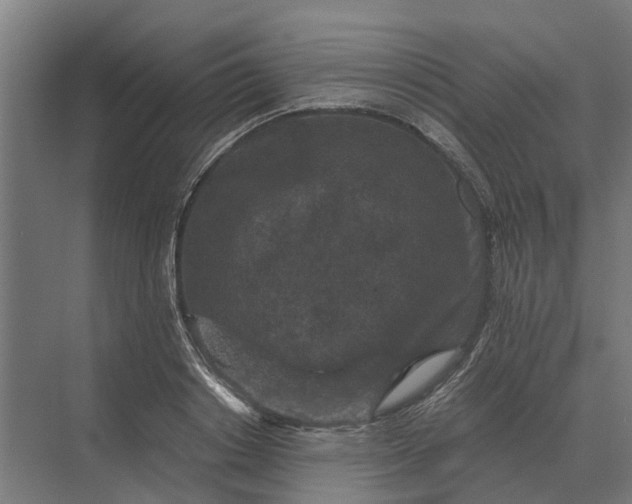 X0000069810842200606021503