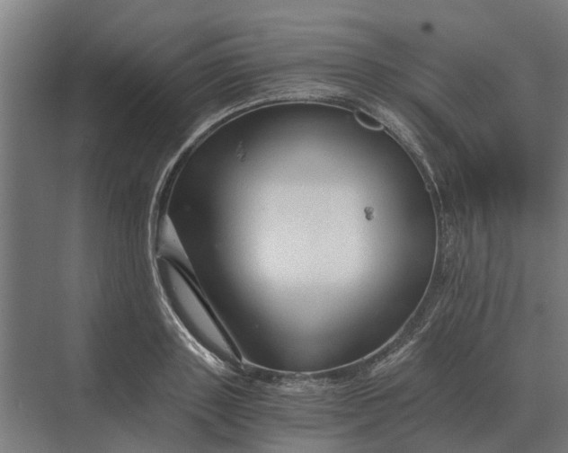 X0000069810843200606021503